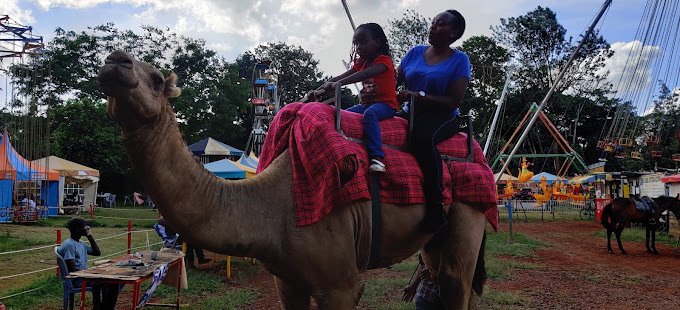 Luna Park international