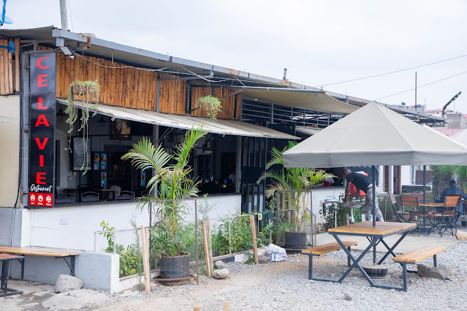 CE LA VIE BAR & GRILL