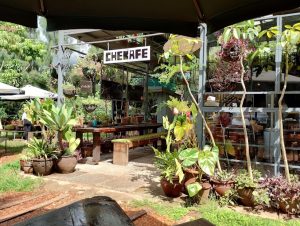 CHEKAFE – Japanese Restaurant