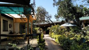 Coco Jambo Valley Arcade