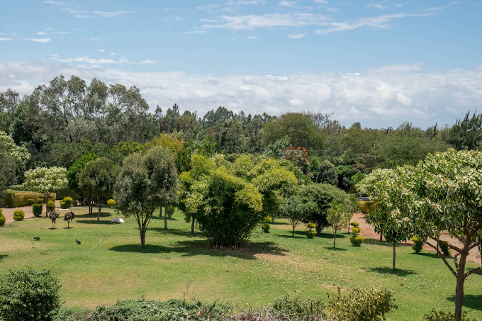 Solio Gardens Nanyuki