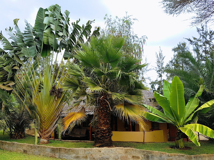 Karen little paradise