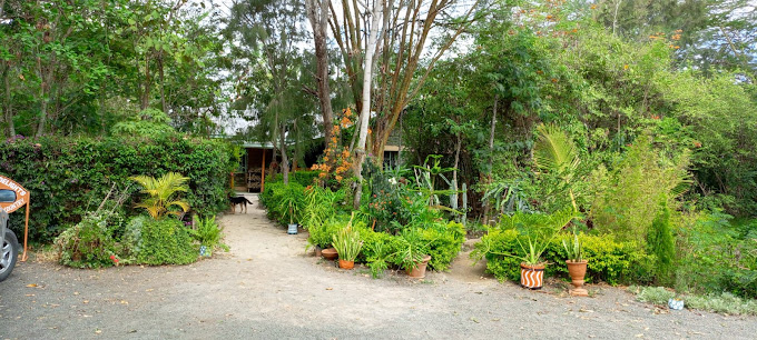 Olooloitikoshi Delights – Birika