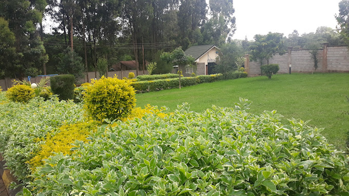 Forest Breeze Gardens