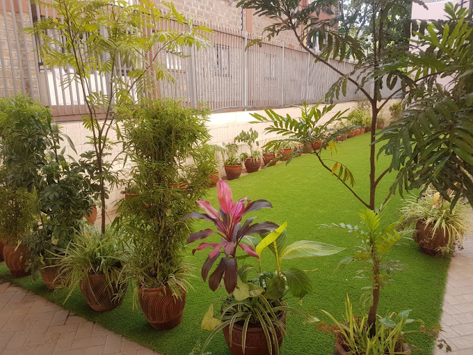 Progessive Park Hotel