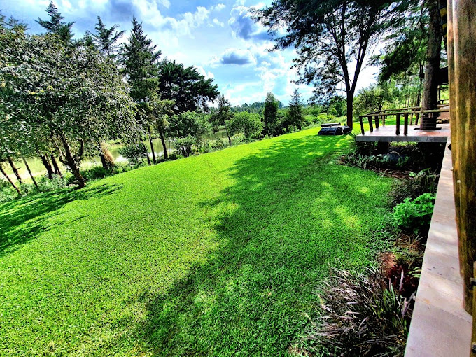 Mugumo Cottage Thika