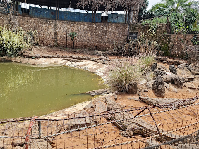 Nairobi Mamba Village