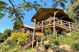 Jangwani Camp Sagana