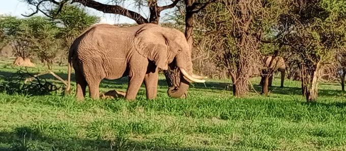 Shompole Conservancy