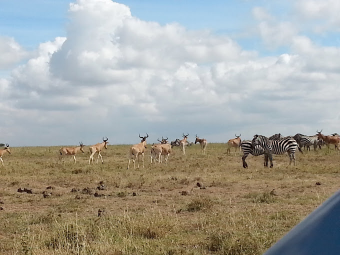 Nairobi National Park