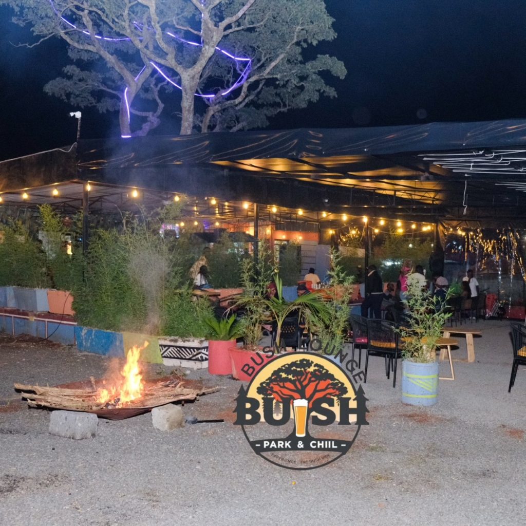 Bush Lounge, bar & Grill; Park & chill