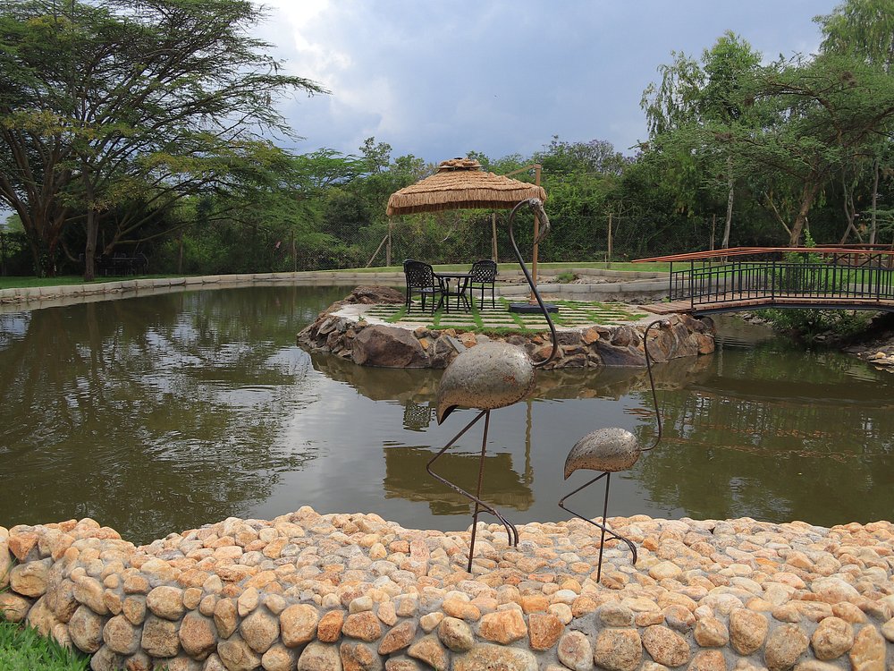 Esidai spa and resort