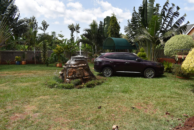 Hippo Ridge. Resort & Gardens