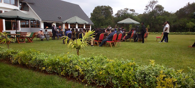 Greenwood eco-lodge hotel