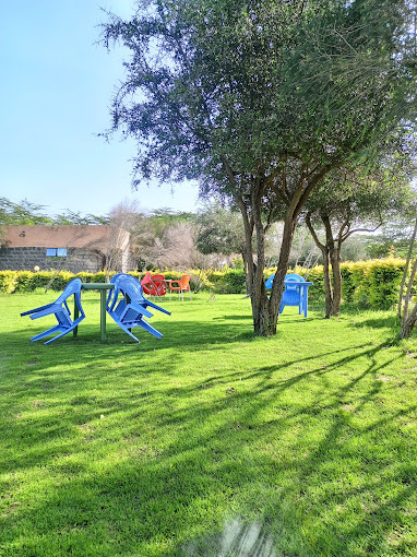 BILLIONAIRES (SWARA PARK)