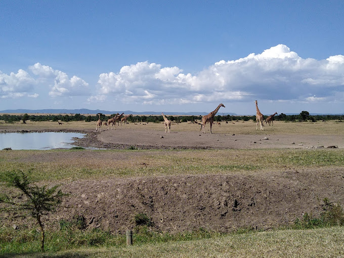 Sweetwaters Serena Camp