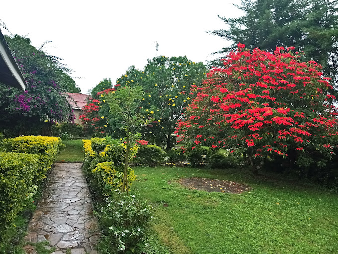 Kilimanjaro Loitoktok Resort