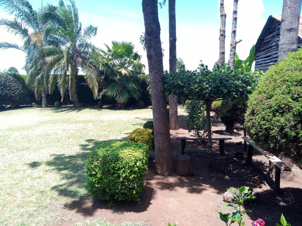 Greenfield Loitokitok Homestay