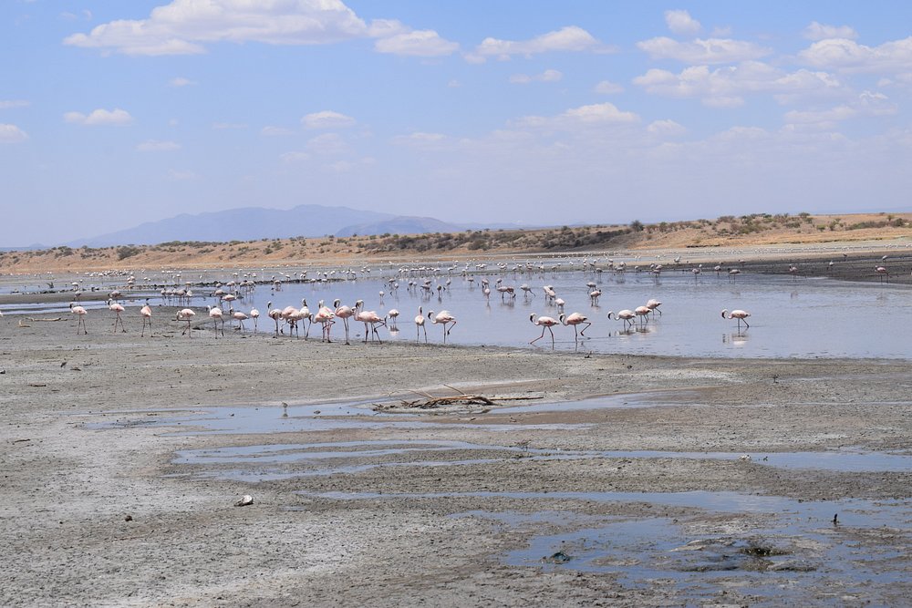 Magadi Tented Camp