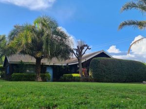 Greenfield Loitokitok Homestay