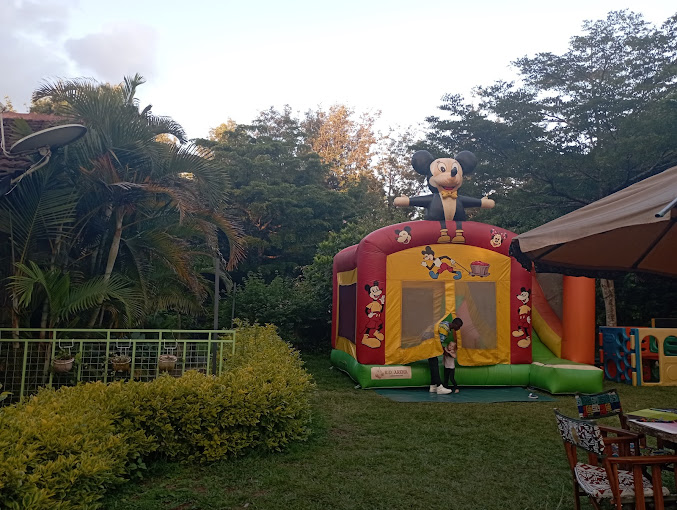 Under the Swahili Tree