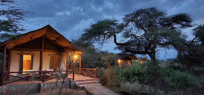 Kilima Safari Camp