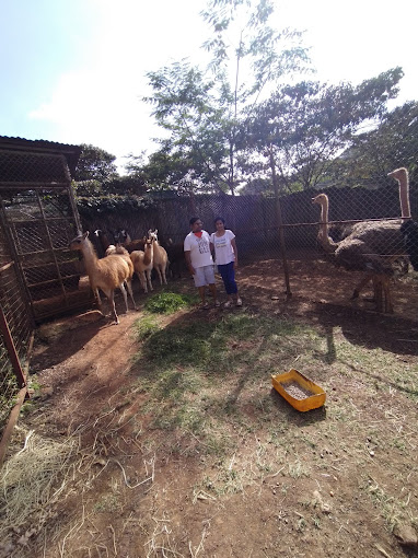 Stedmak Gardens and Recreation Centre