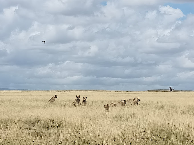 Amboseli National Park