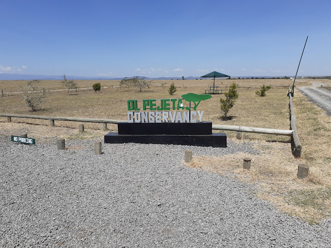 Ol Pejeta Conservancy