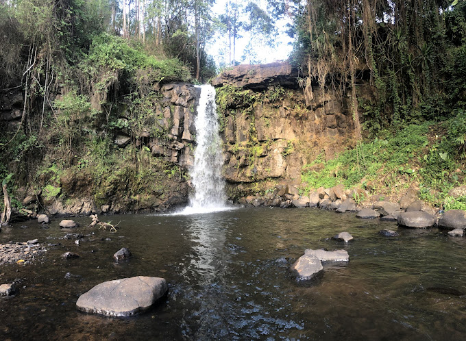 Paradiso Falls