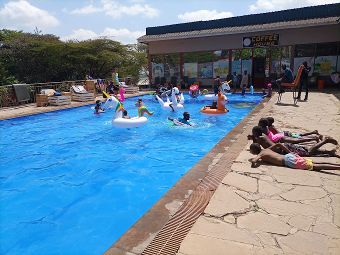 Rimpa Greens by Bayleys