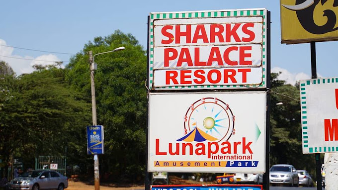 Ramsha (Shark’s Palace Resort)