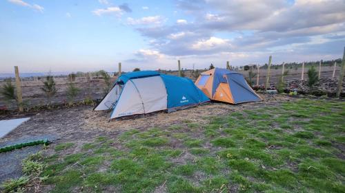Acacia Square & Camping