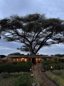 Tulia Amboseli Safari Camp