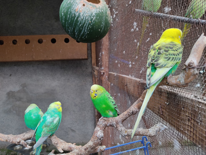 Stedmak Gardens and Recreation Centre