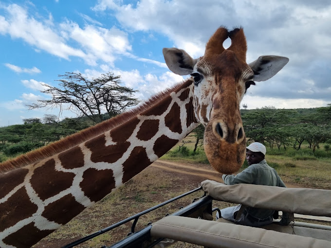 Ekorian’s Mugie Camp