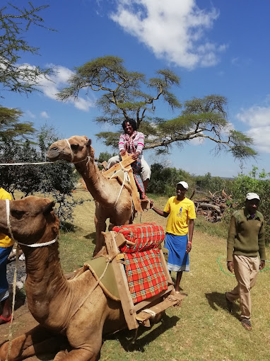 Mugie Wildlife Conservancy