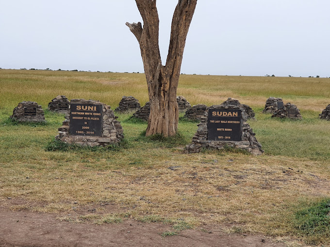 Ol Pejeta Conservancy