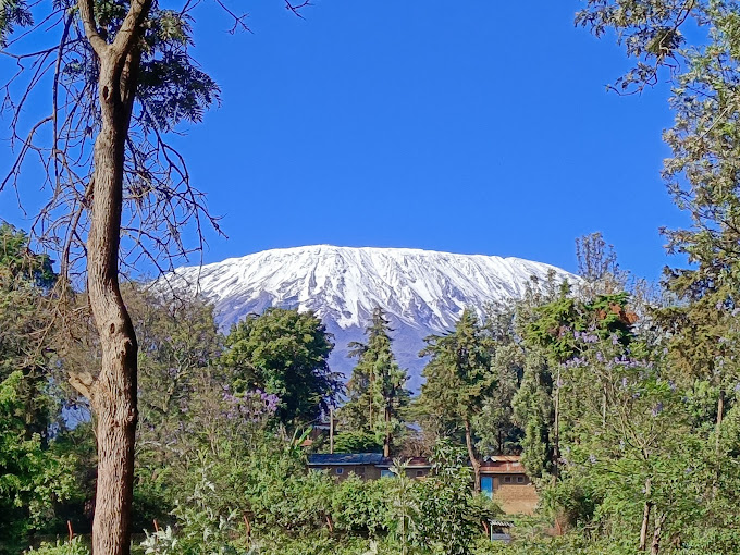 Kibo Slopes Cottages Ltd