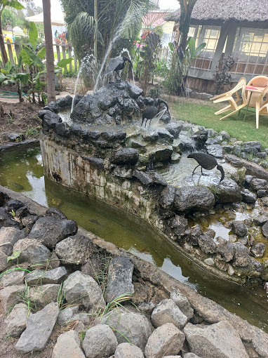 Fred’s Ranch and Resort