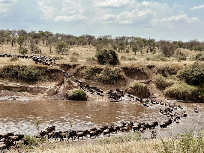 Amboseli National Park