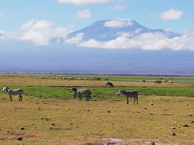 Amboseli National Park