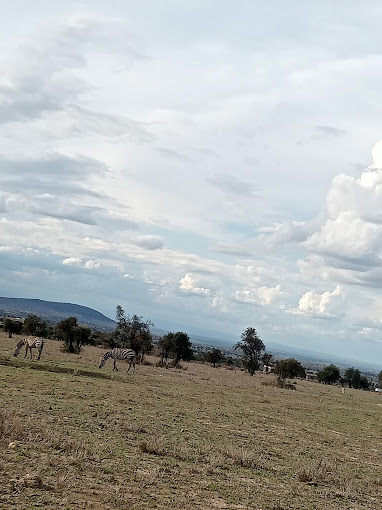 Maanzoni Wildlife Estate