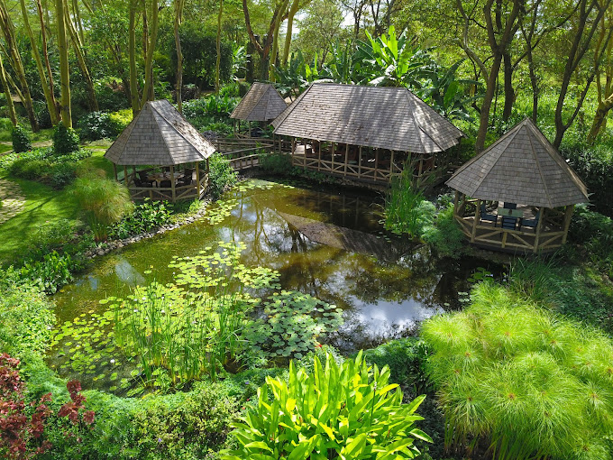 Tumbili Lodge Arusha