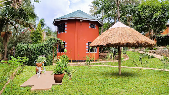 Africa Safari Arusha