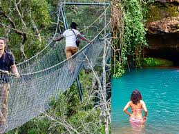 Ngare Ndare Forest Ecotourism