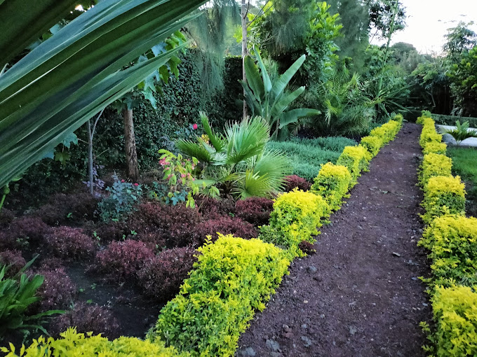 The Legacy by J.Kirimi