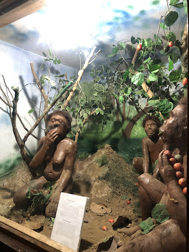 National Natural History Museum-ARUSHA