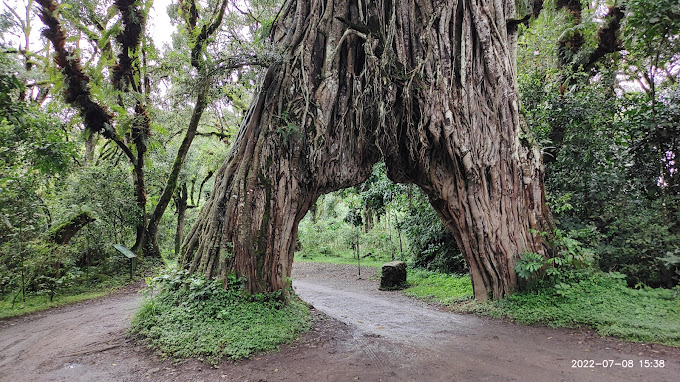 Arusha National Park