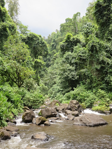 kinukamori Marangu waterfalls